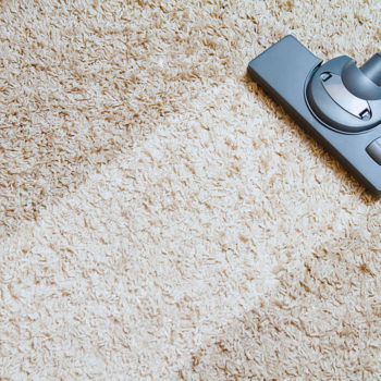 property maintenance specialist carpet cleaning